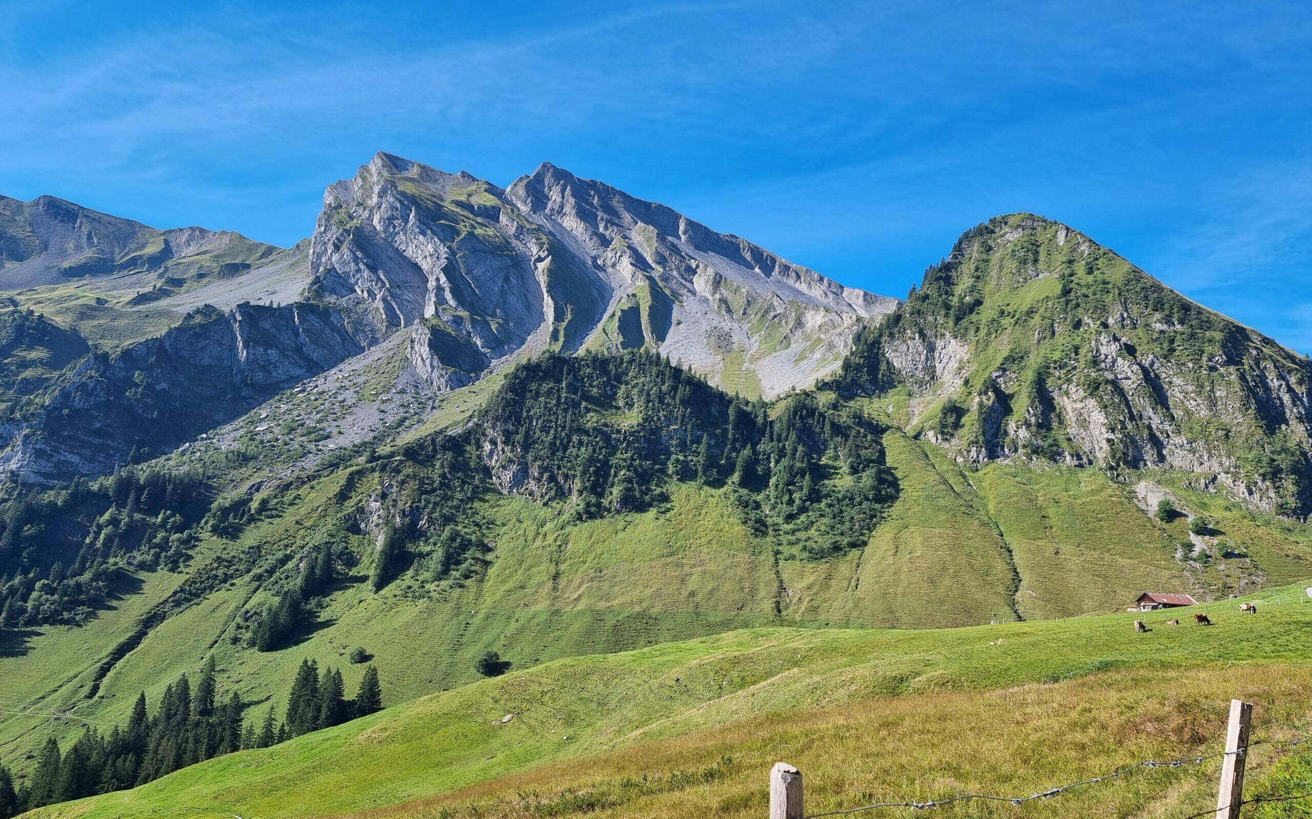 Bahninformationen