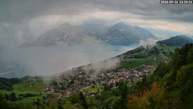 Waldibahn Webcam